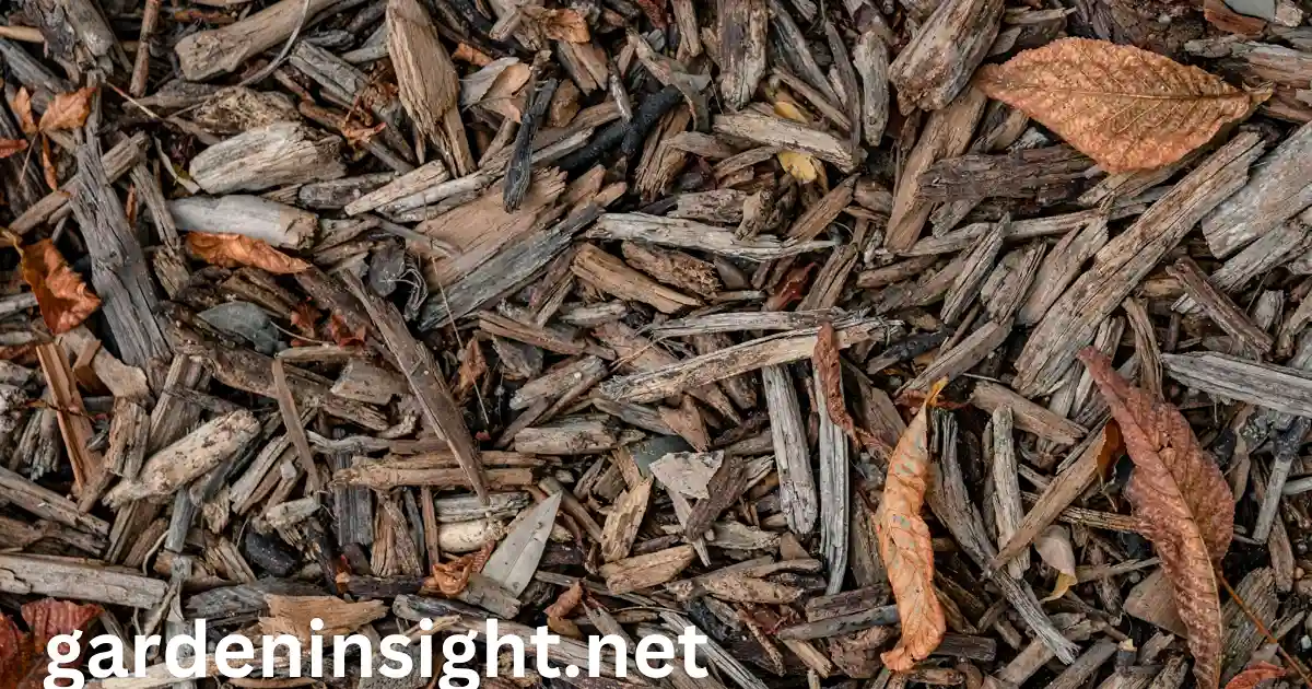 cedar mulch