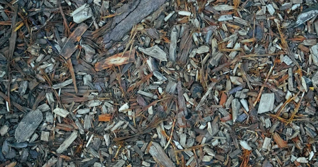 cedar mulch