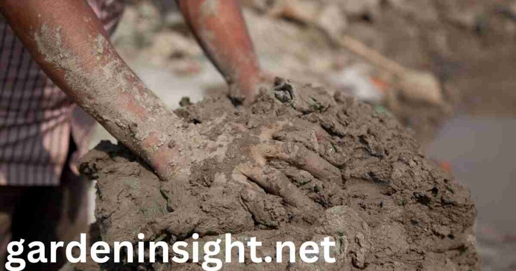 clay soil