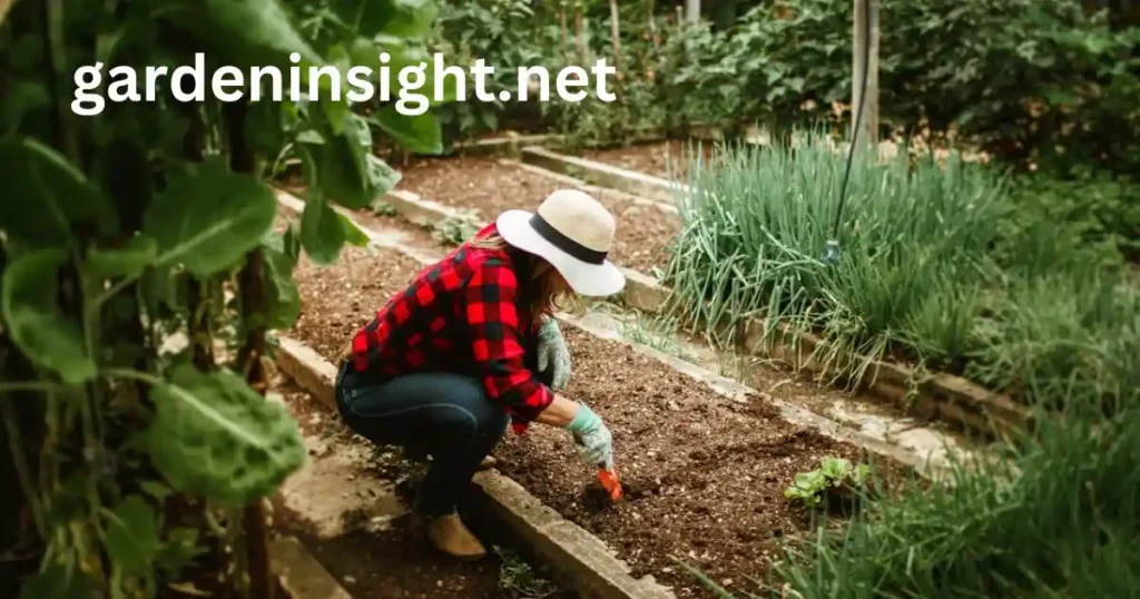 gardening bed