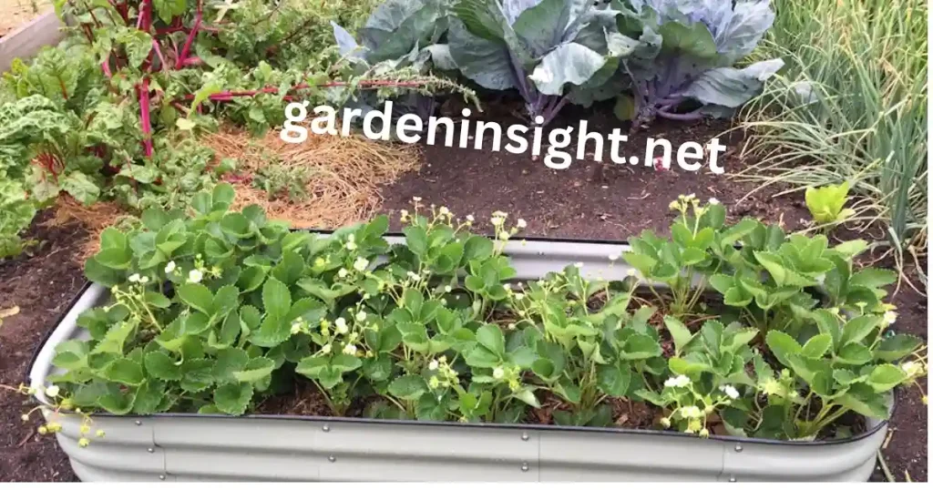 gardening bed