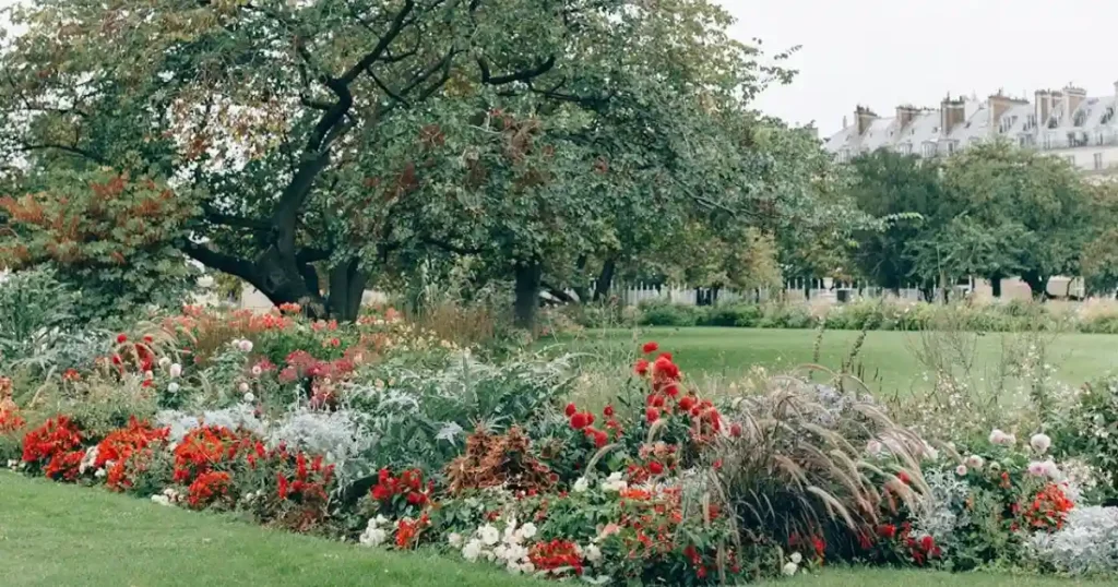 gardening bed