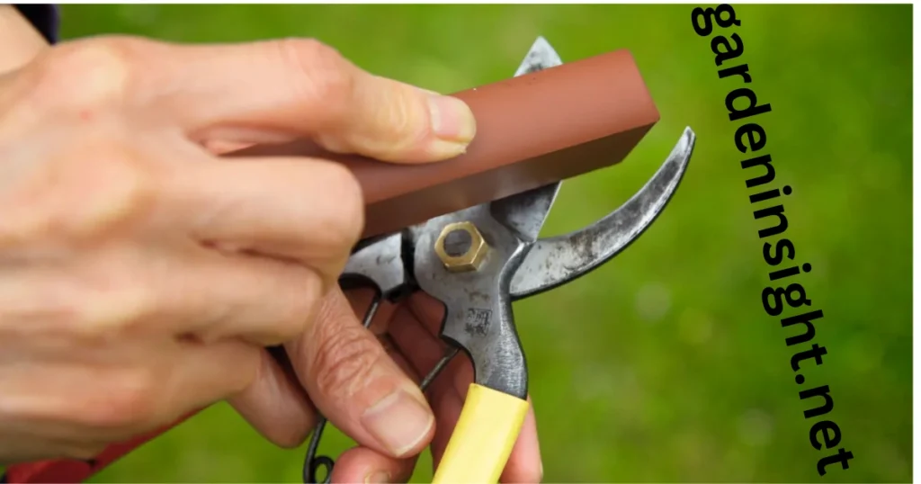 gardening shears