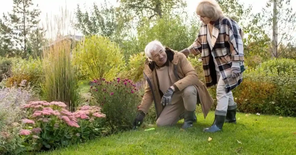 Gardening Helps Elderly