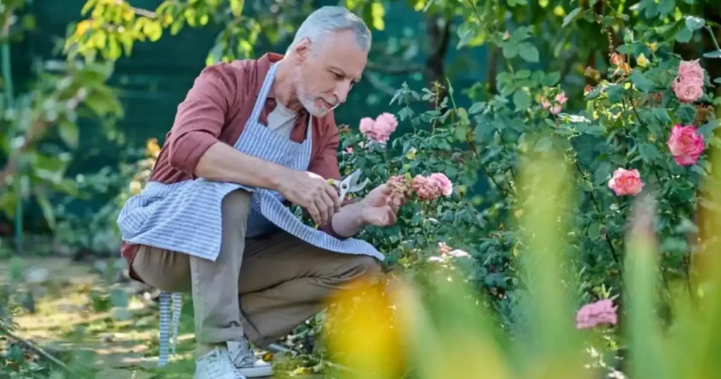 Gardening Helps Elderly