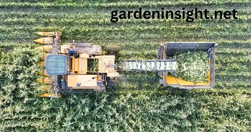 gardening relate to agriculture