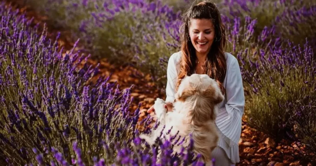 Lavender Toxic to Dogs