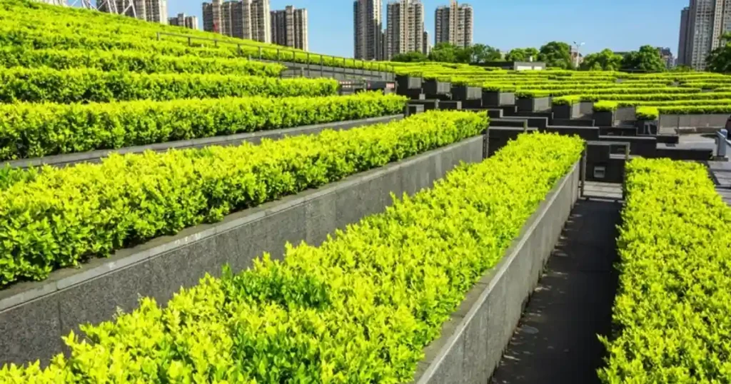 urban agriculture and community gardening.