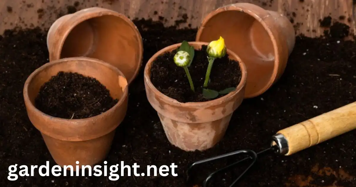 garden soil in pots