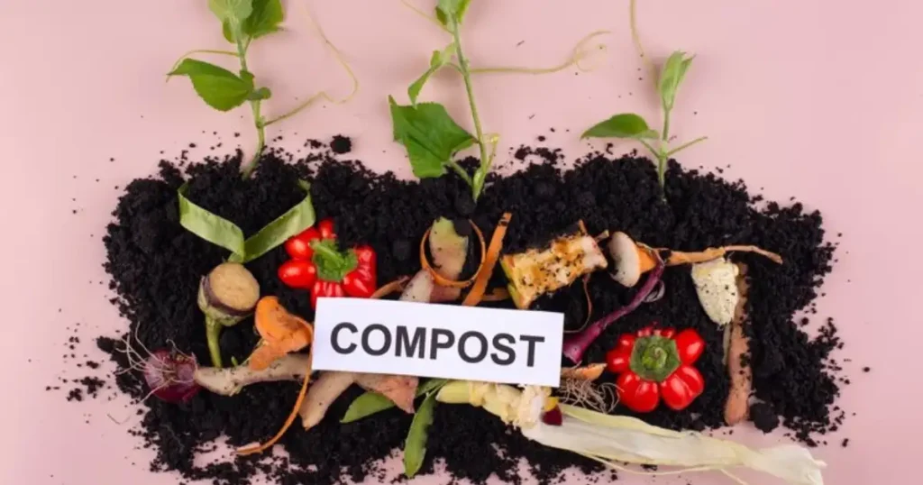 compost at home