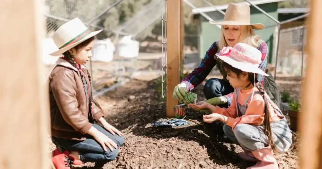 start gardening