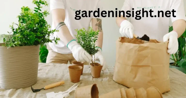 toilet paper rolls in gardening