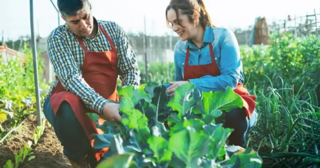 biodynamic gardening