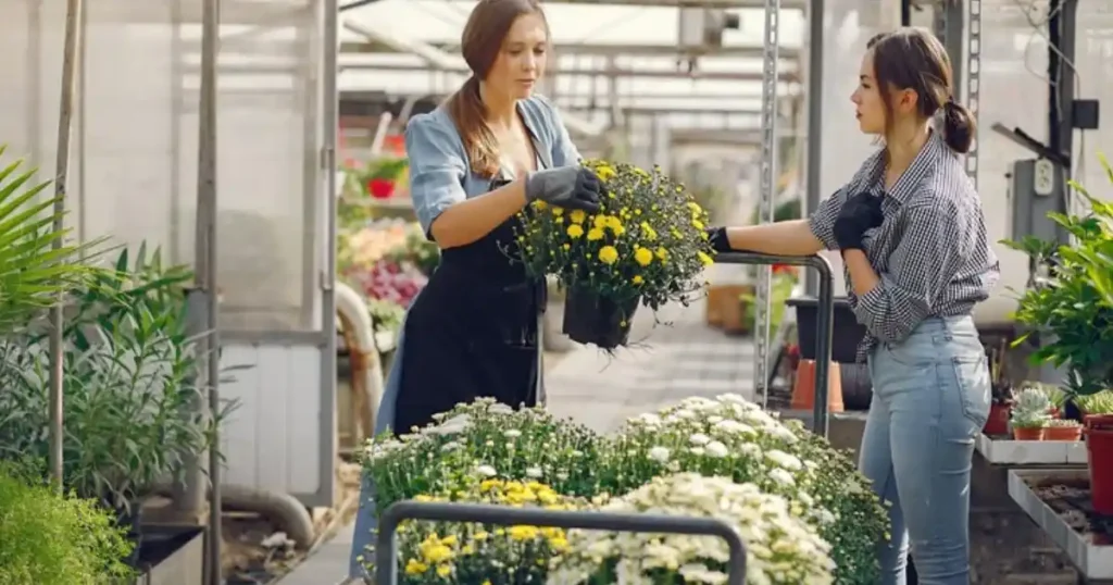 market gardening