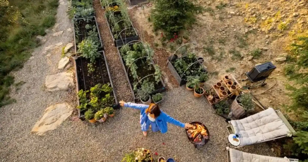 Permaculture gardening