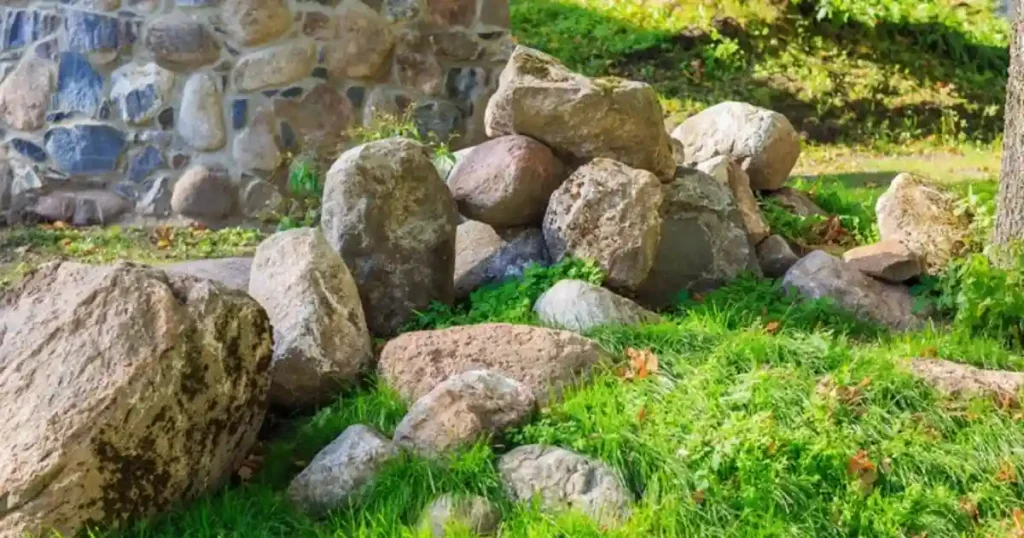 rock gardening