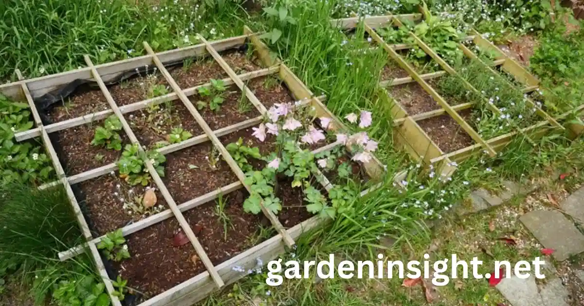 square foot gardening