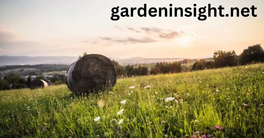 straw bale gardening