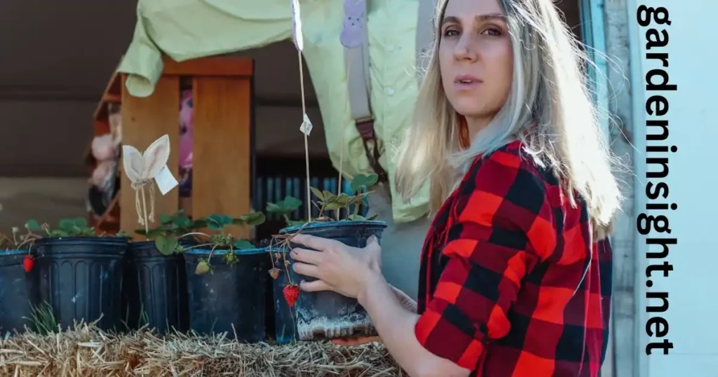 straw bale gardening