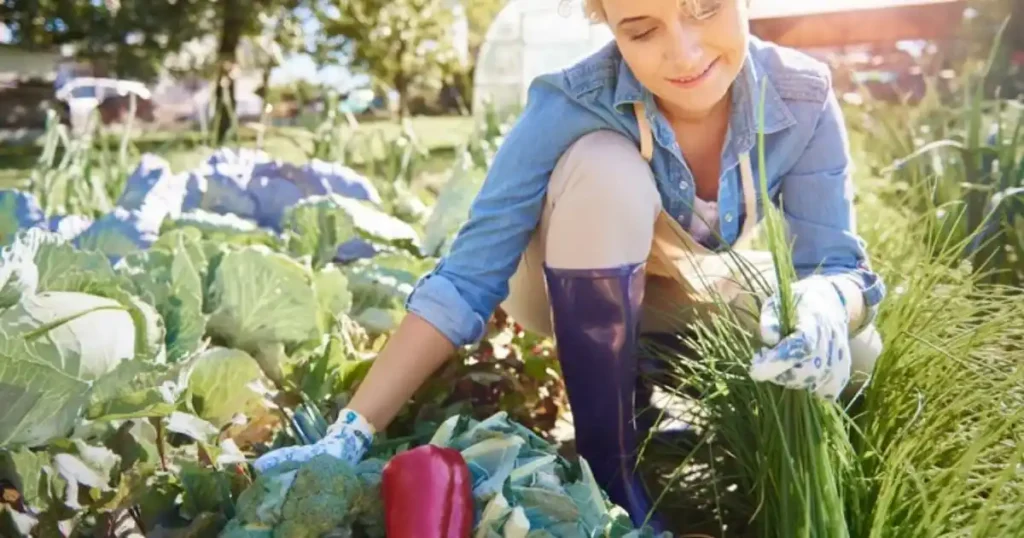 Gardening vegetables