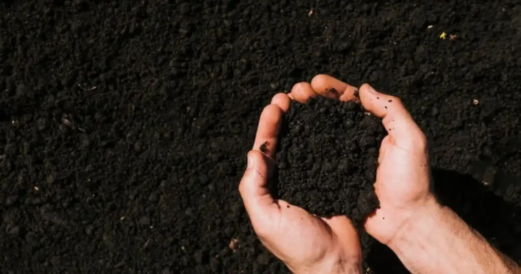 Topsoil for Gardening