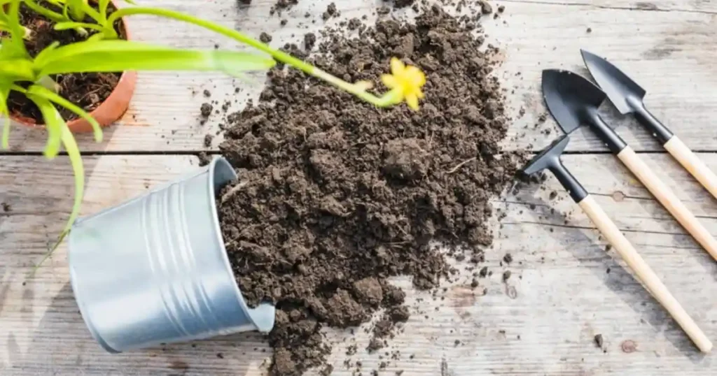 Gardening soil and Potting soil