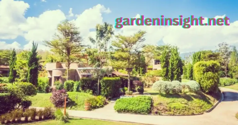 Gardens need full sun