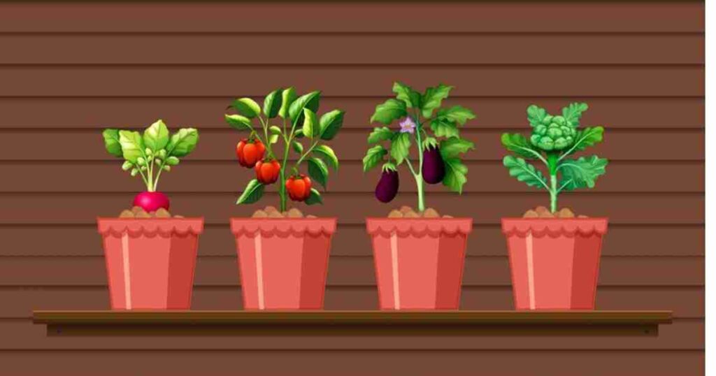 Gardening in Pots