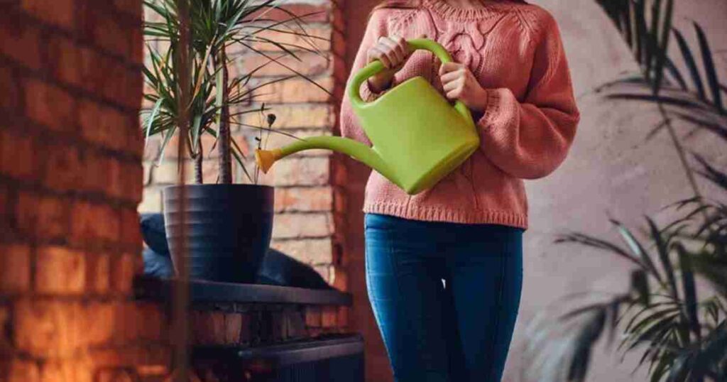 Gardening in Pots