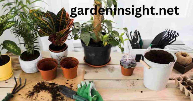 Gardening in Pots