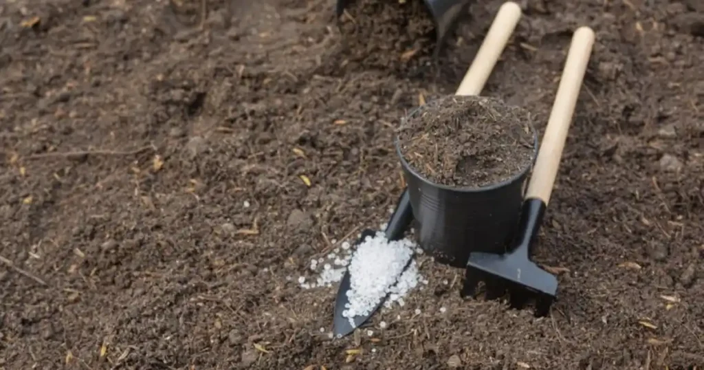 Epsom Salt For Gardening