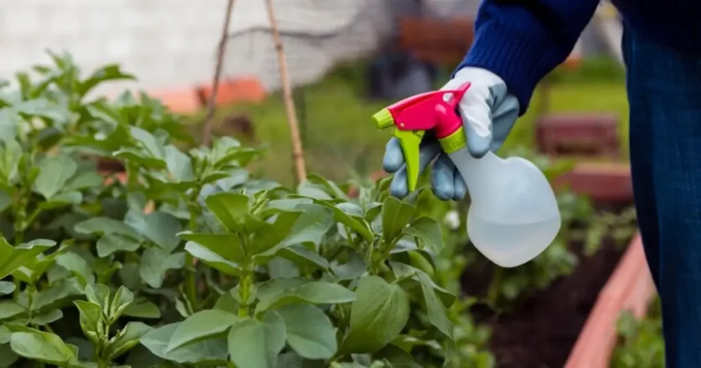 Garden sprayer