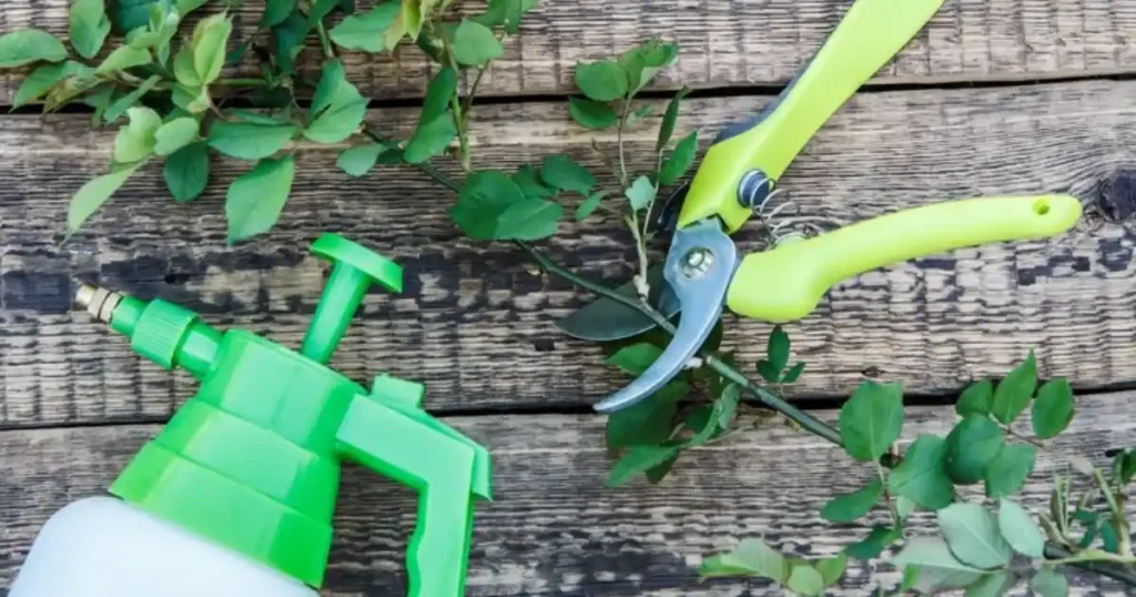 Garden sprayer