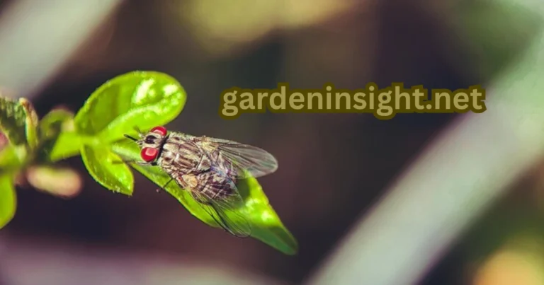 Protect Garden from Cicadas