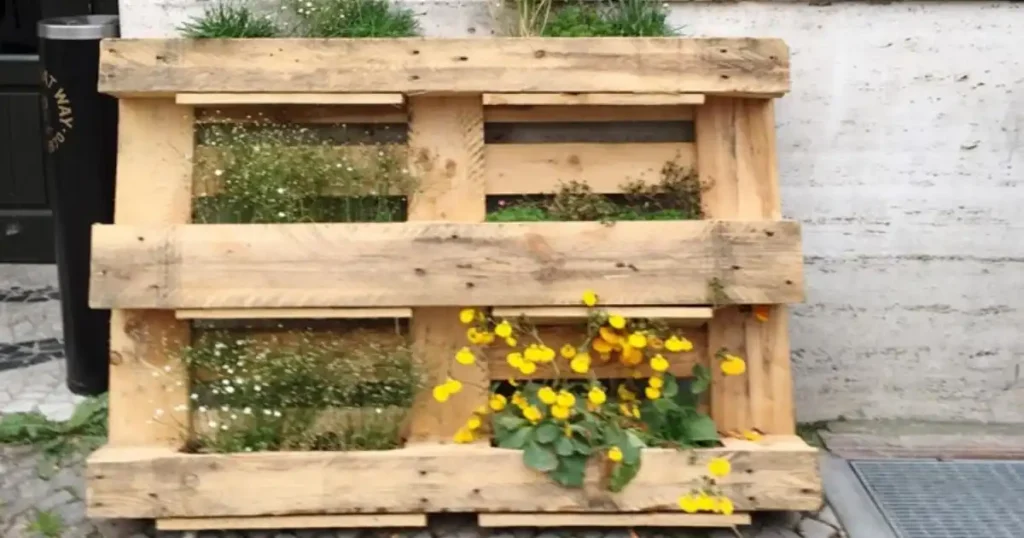 Pallets for gardening