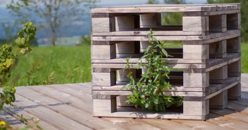 Pallets for gardening