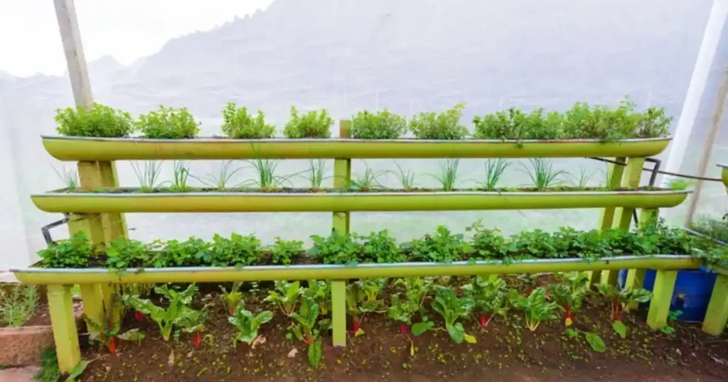 Hydroponic gardening