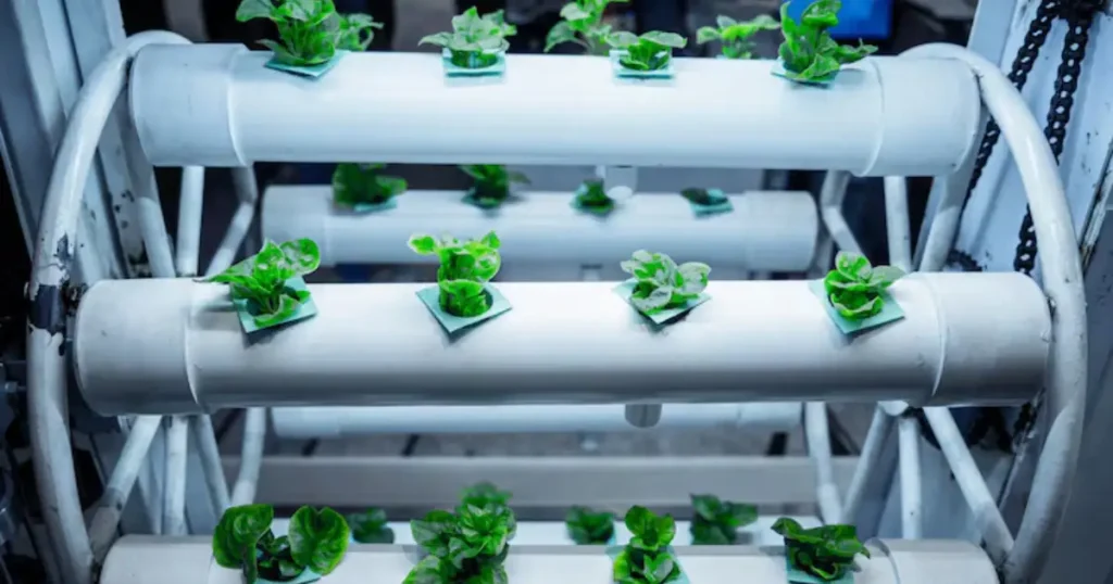 Hydroponic Gardening