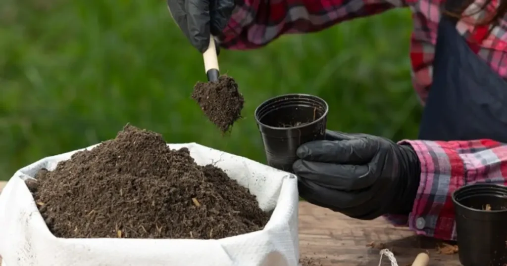 Best soil for gardening