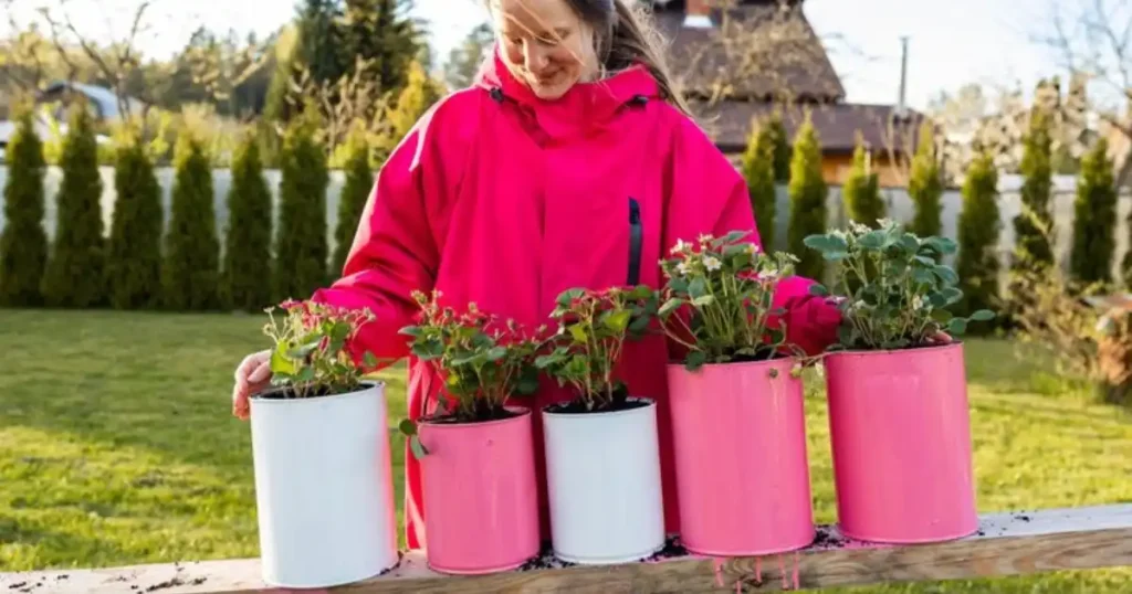 Container Gardening