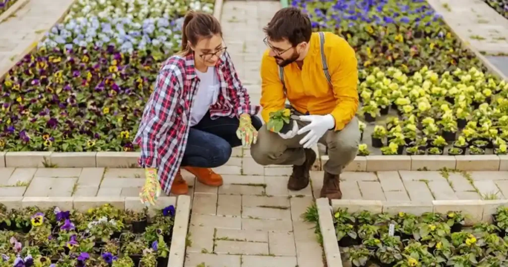 Guerrilla Gardening