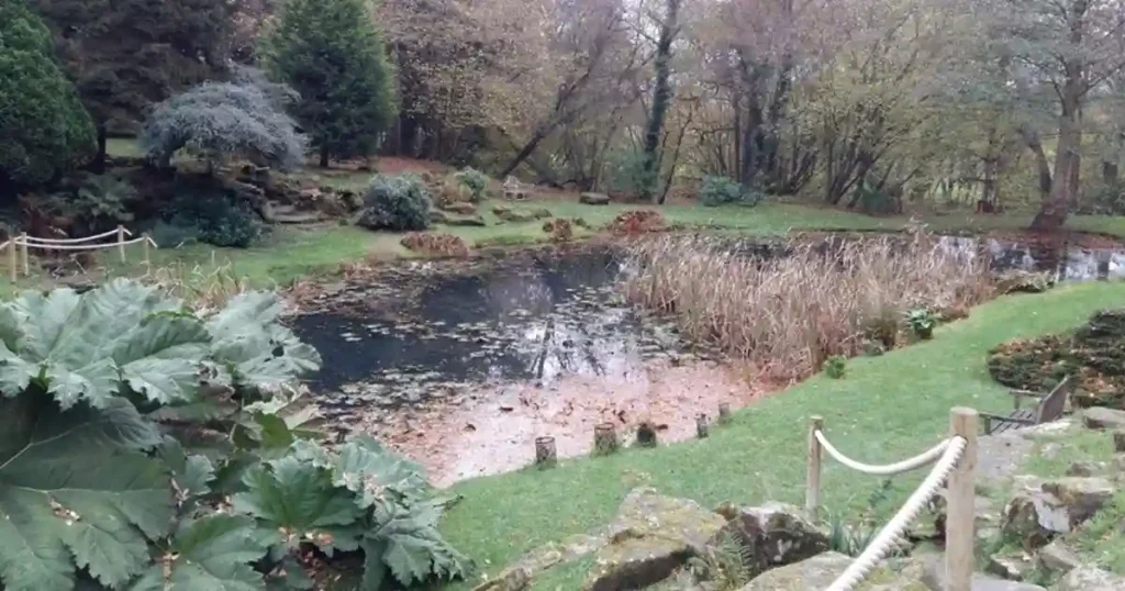 Build garden pond