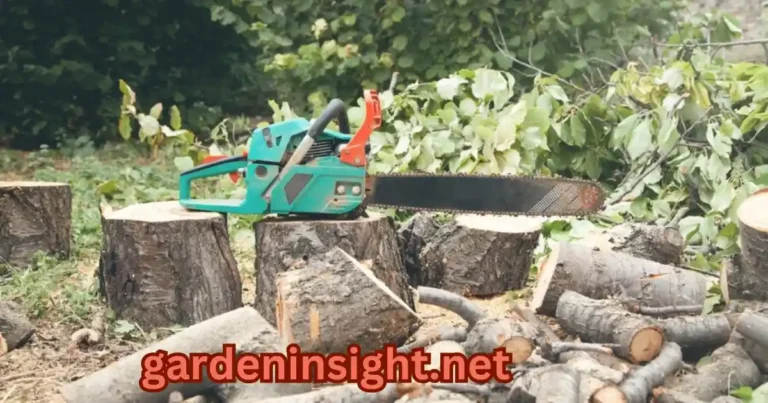 Cut Down a Tree in Garden