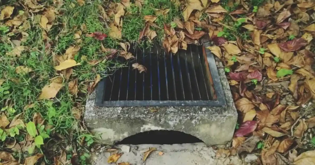 Disguise Drain Covers