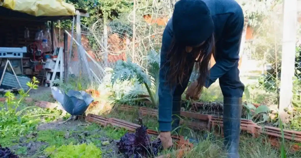 Fill raised garden bed