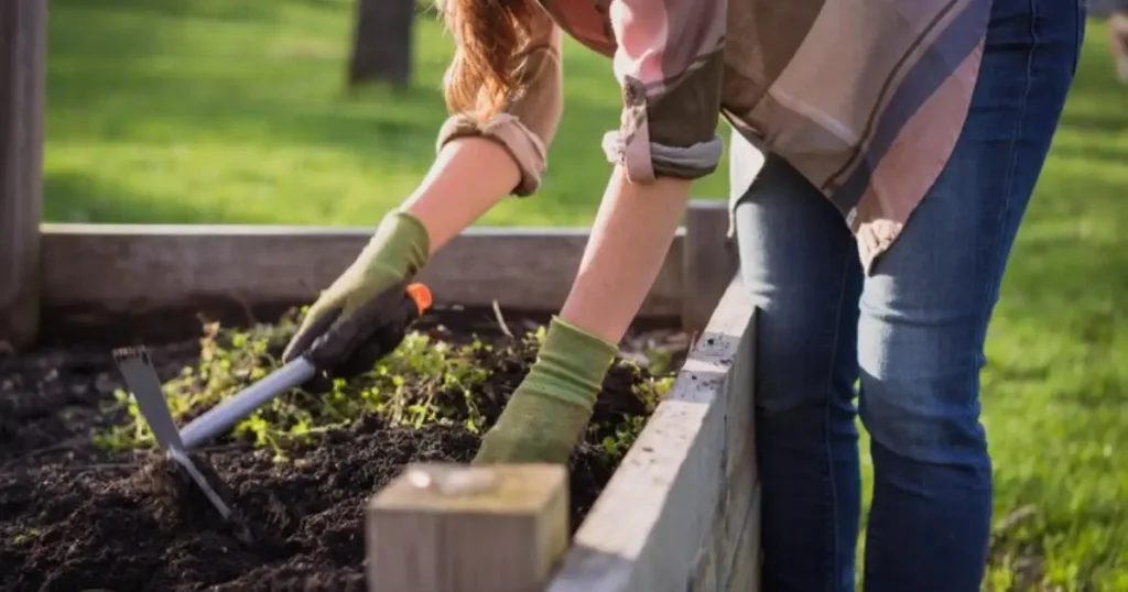 Fill raised garden bed