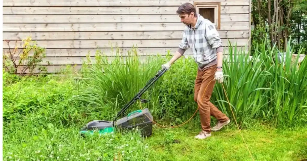 Get rid of grass in garden