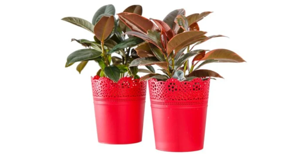 Recycle Plastic Garden Pots