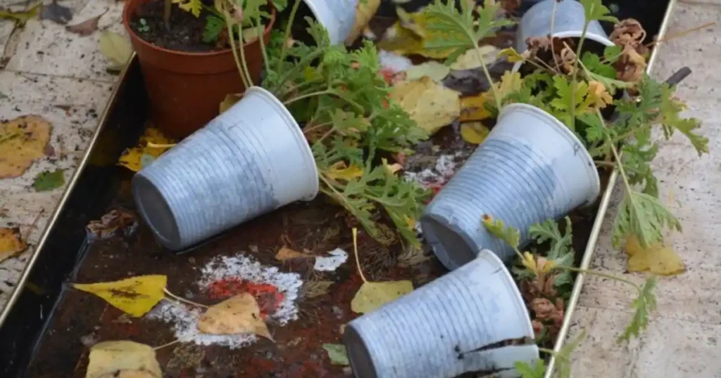 Recycle Plastic Garden Pots