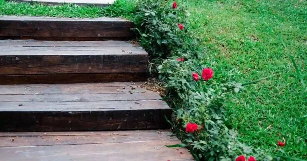 Steps in Garden